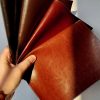 okładka na książeczkę zdrowia kolory skóry w słońcu